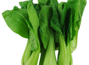 萍乡江西蔬菜配送服务
